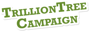 Trillion Tree Campaign