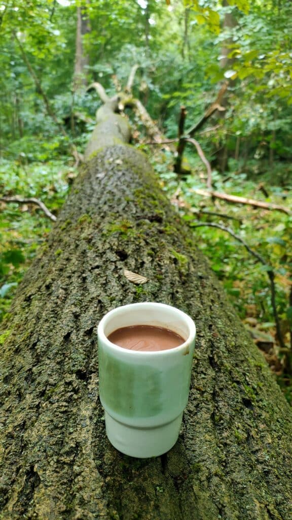 Rohkakao Maya Munay im Wald