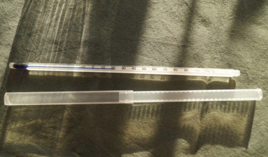Thermometer mit Schutzhülle